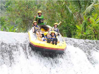 Acitividades Acitividades