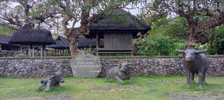 Pueblo origen de bali de Tenganan